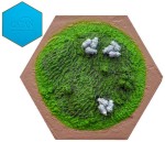 Sheep Hex - 3D SF/CK 2023