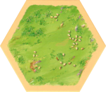 6E 56p - Sheep 01