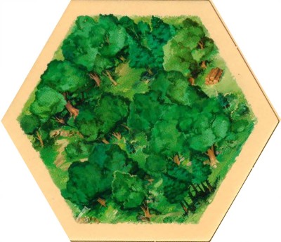 6E EP56 - Wood 01 Parrot