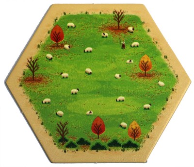 Sheep 04 - Autumn 2018
