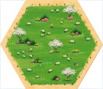 Sheep 01 - Spring 2023