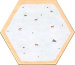 Desert - Winter 2025