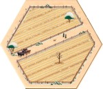 Wheat 02 - Winter 2025